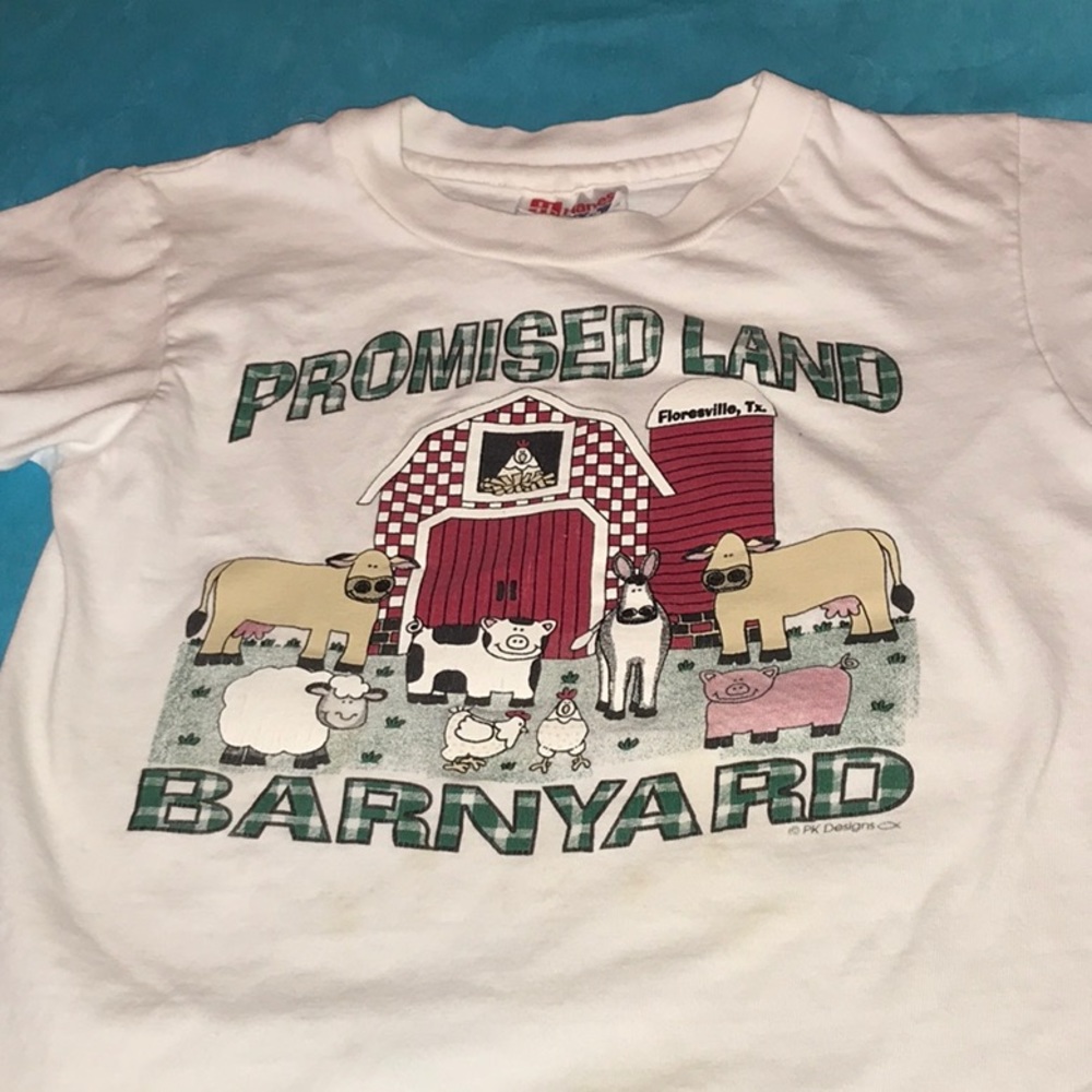 2 T-shirts bundled